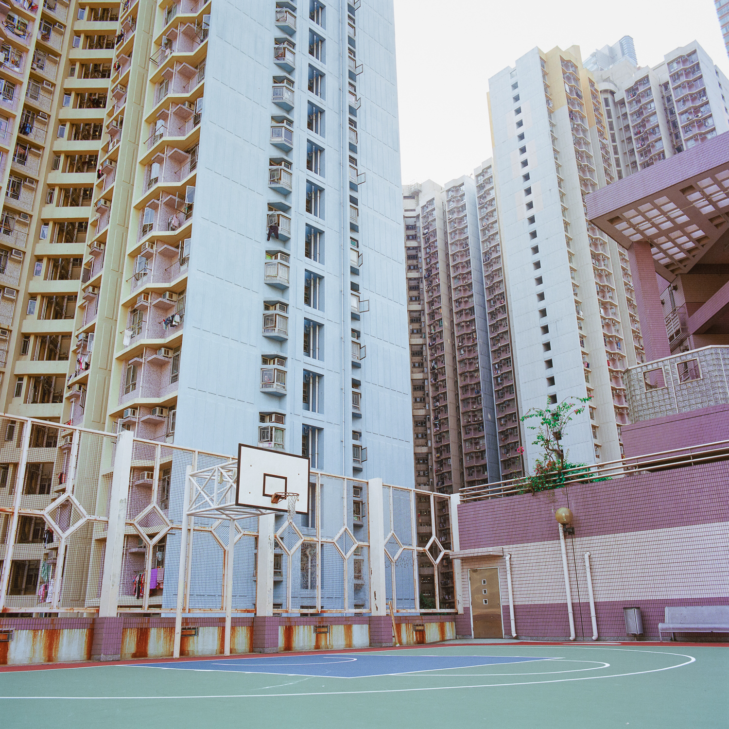 Hoi Fu Court, Hong Kong