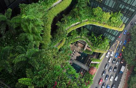 Human Nature Book by Lucas Foglia