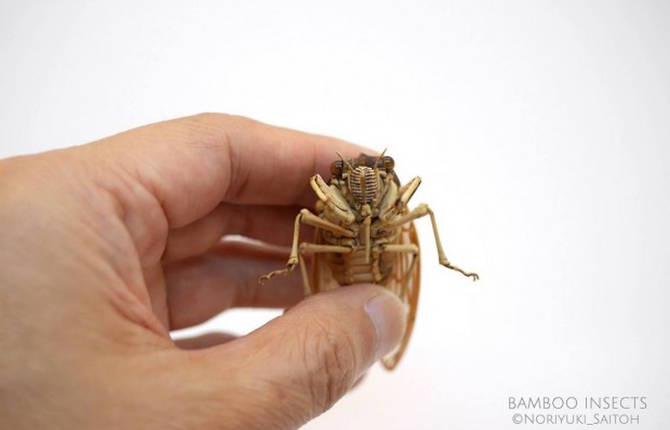 Realistic Bamboo Insects