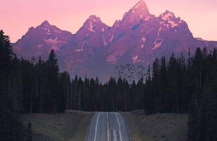 Dreamy Landscapes of Ty Newcomb