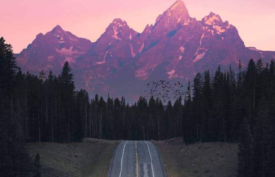 Dreamy Landscapes of Ty Newcomb