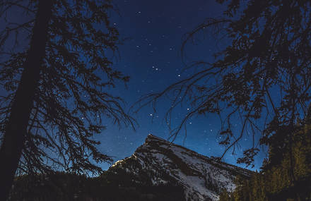 Dreamy Landscapes of Ty Newcomb