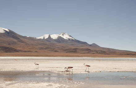 Stunning Trip Photos of Bolivia and Peru by Sonia Szostak