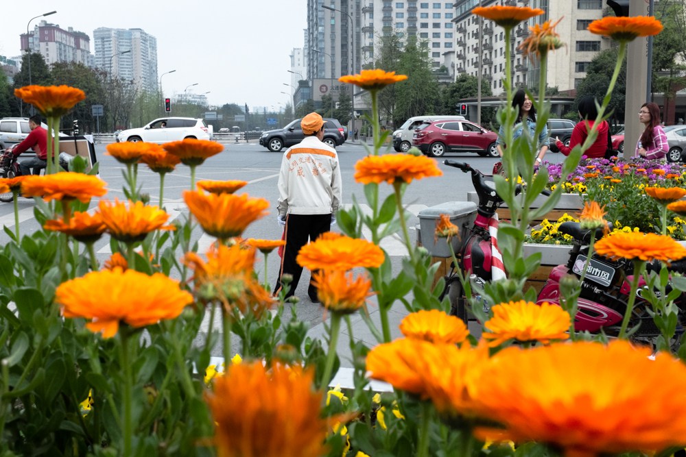 fubiz-larry-hallegua-made-in-chengdu-photography-01