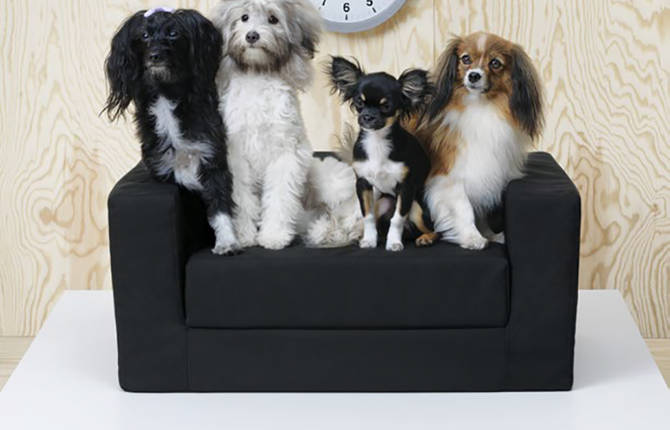 IKEA New Collection for Pets