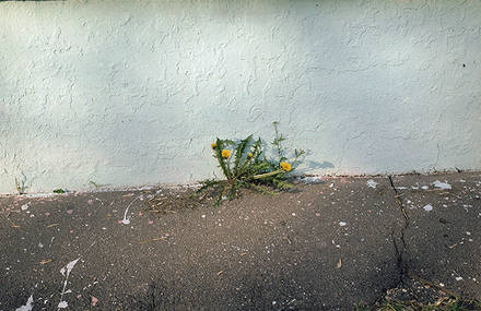 Ethereal Photography by Kate Smuraga