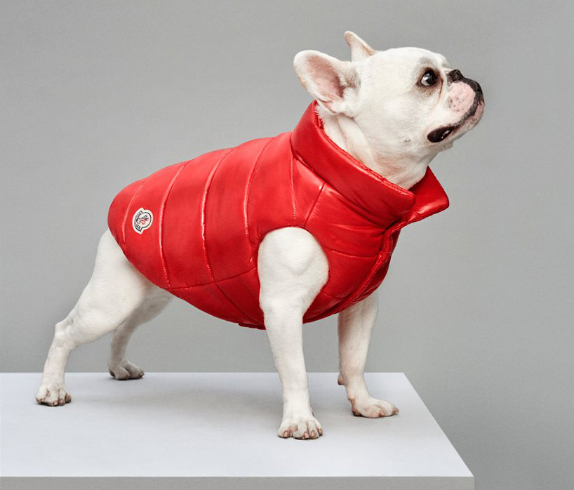 Moncler Dog10