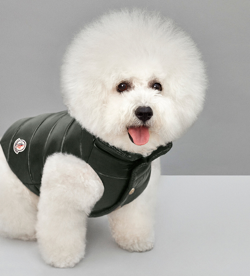 Moncler Dog7