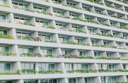 Skating The Urban Jungle Of Singapore