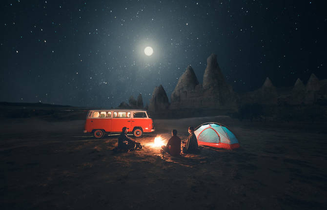 Wild Landscape Pictures
