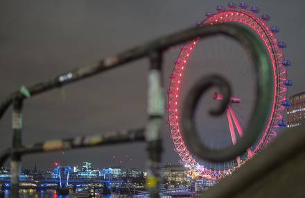 Poetical Coincidences in Pictures