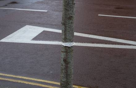 Poetical Coincidences in Pictures