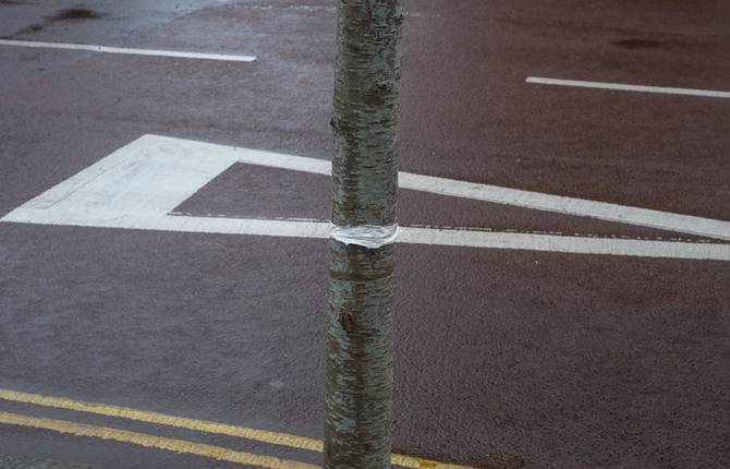 Poetical Coincidences in Pictures