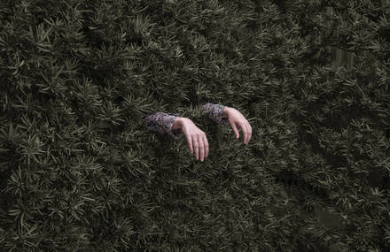 Everyday Scenes Turned Into Surreal
