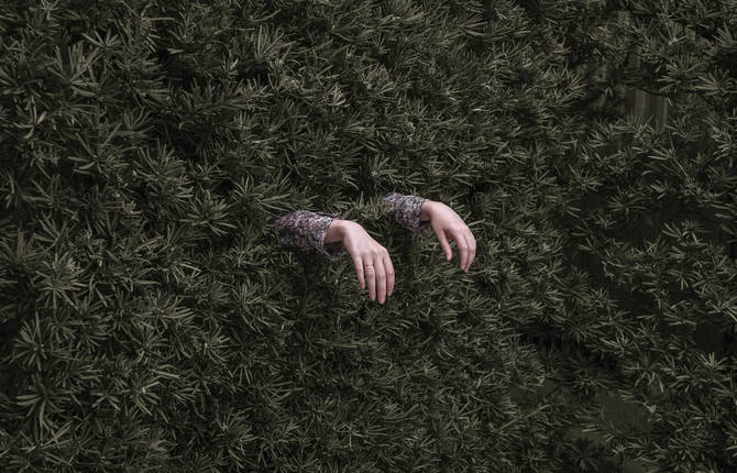 Everyday Scenes Turned Into Surreal
