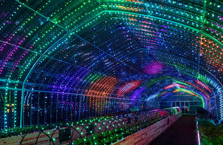 Astounding Interactive Light and Sound Greenhouse in Tokyo