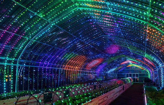 Astounding Interactive Light and Sound Greenhouse in Tokyo