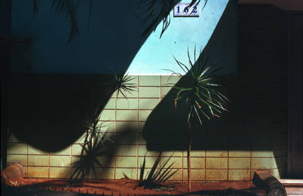 Emotive Images Captured on Film
