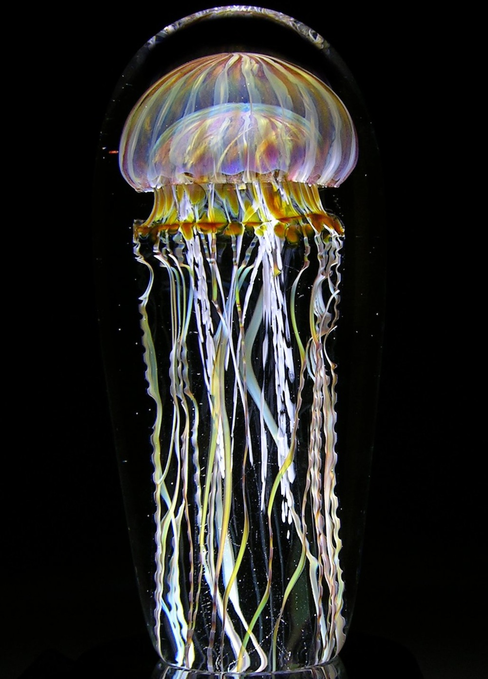 fubiz-ruck-satava-glass-jellyfish-sculpture-01