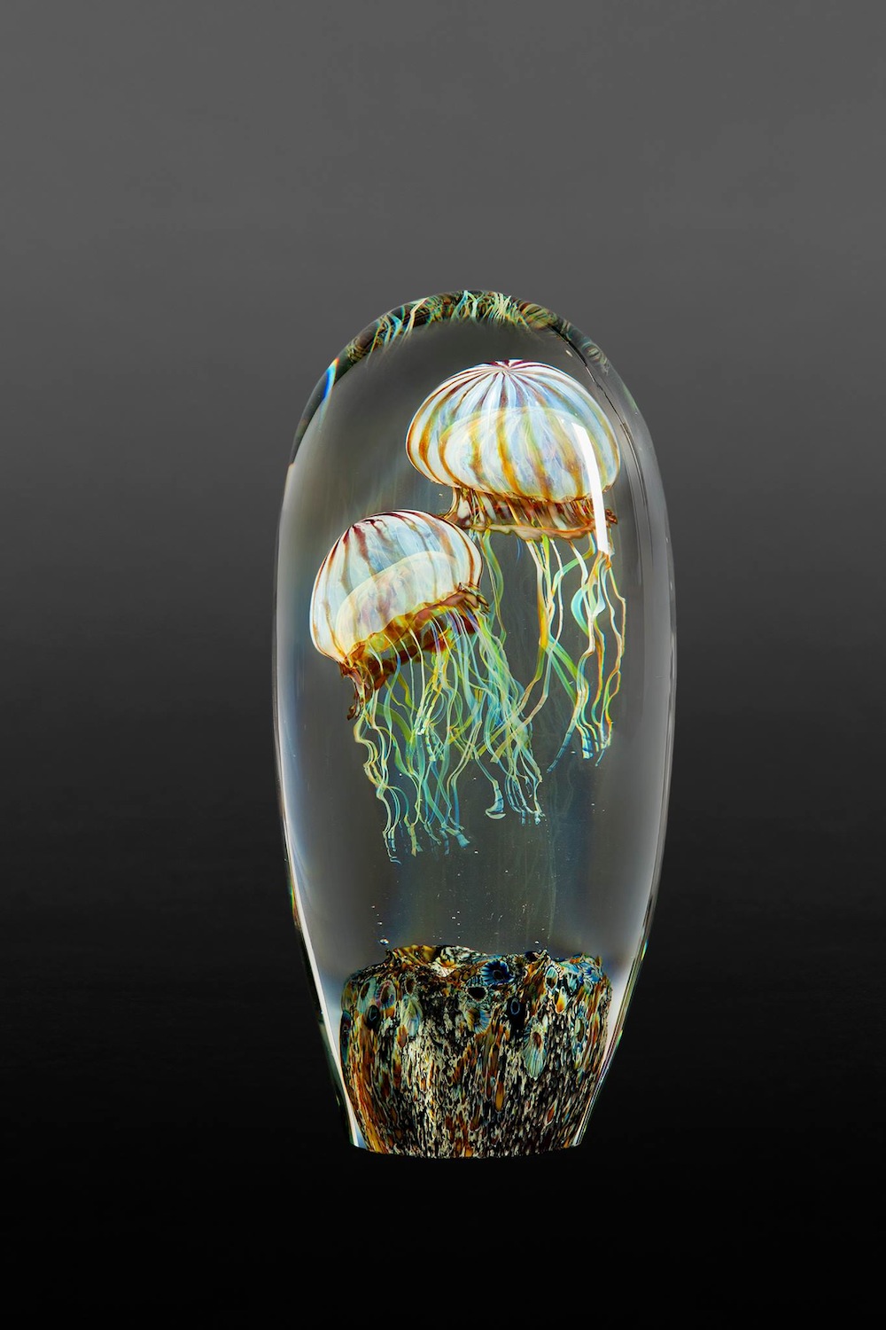 fubiz-ruck-satava-glass-jellyfish-sculpture-04