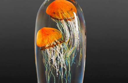 Fascinating Glass Jellyfish Sculptures