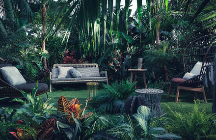 A Tropical And Jungle Photographic Series