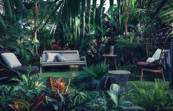 A Tropical And Jungle Photographic Series