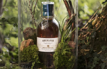 Beautiful Terrarium for Aberlour by Guillaume Demont