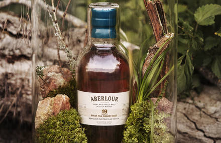 Beautiful Terrarium for Aberlour by Guillaume Demont