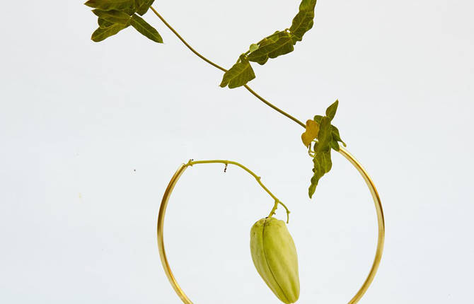 Minimalistic Floral Designs