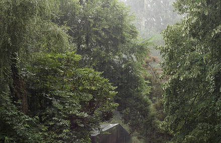 Incredible Pavilion Hidden in Nature