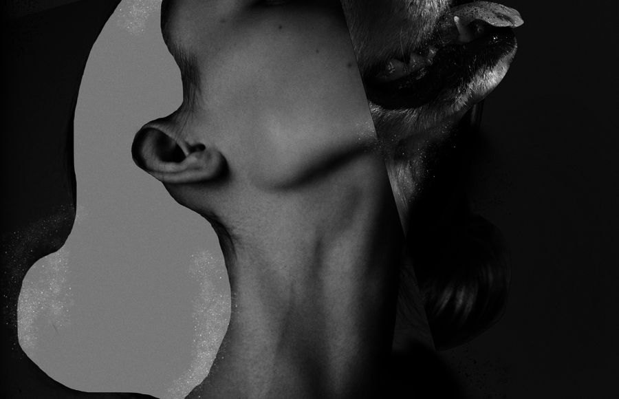 Impressive Digital Illustrations and Collages