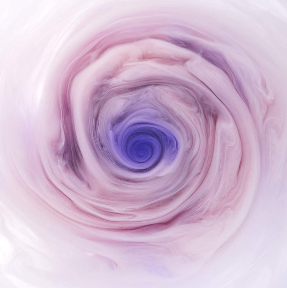 fubiz-mark-mawson-swirly-flowers-photography-04