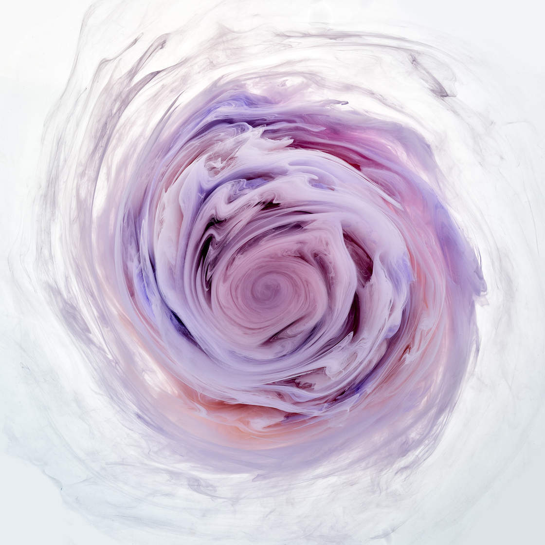 fubiz-mark-mawson-swirly-flowers-photography-08