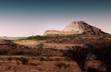 World’s Future Largest Botanic Garden Will be in Oman