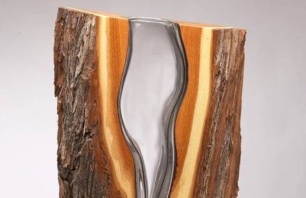 Surprising Sculptures Crafted from Glass and Wood