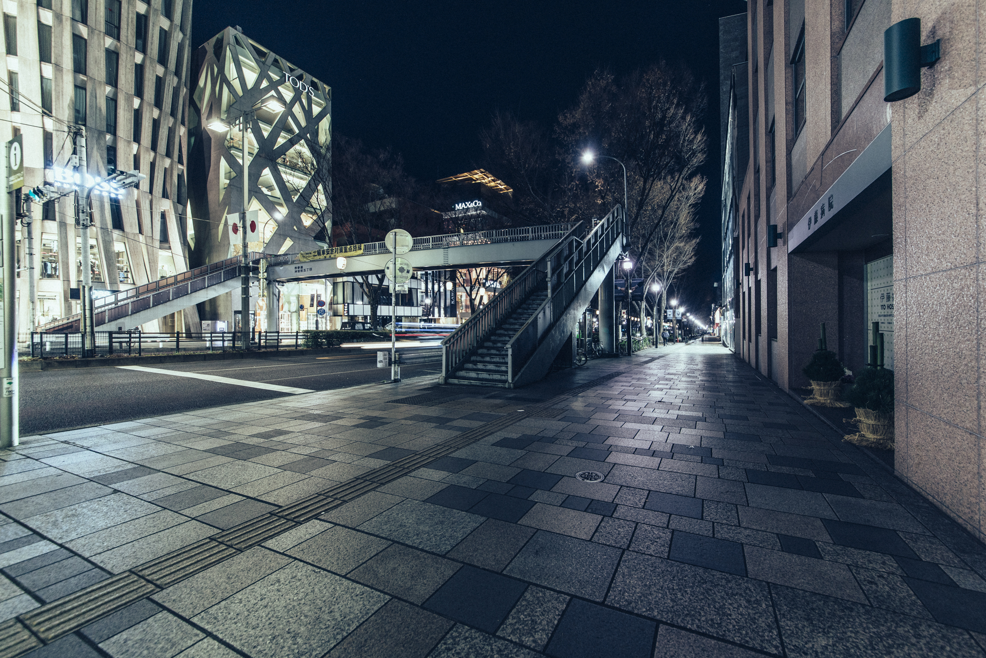 Desert in Tokyo - Aoyama Dori