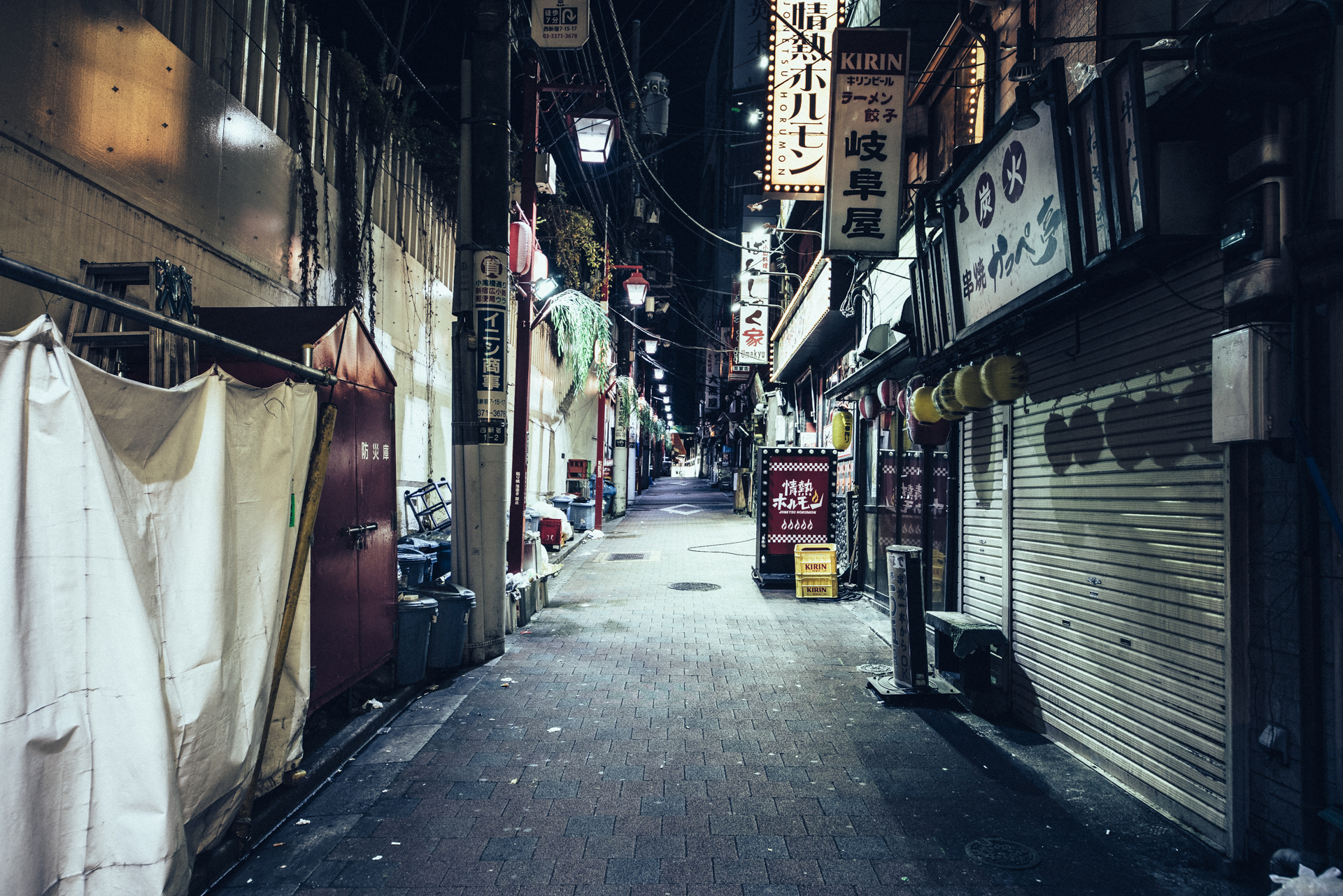 Desert in Tokyo - Shinjuku Omoide Yokocho