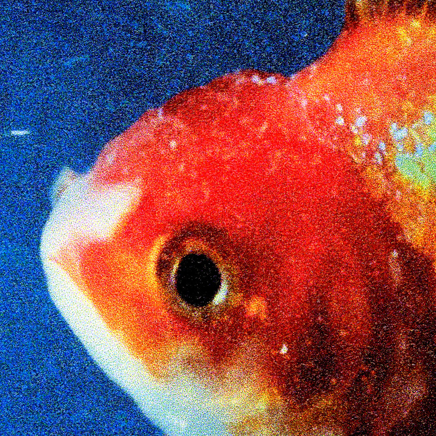 18-vince-staples-big-fish-theory-album-art-2017-billboard-1240