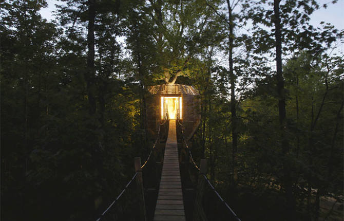 Stunning And Comfy Tree House