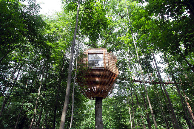 Origin Tree House by Ateliers Lavit16