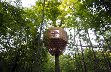 Stunning And Comfy Tree House