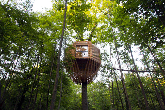 Origin Tree House by Ateliers Lavit2