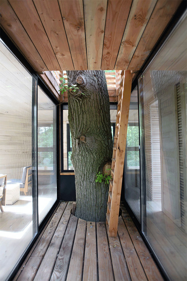 Origin Tree House by Ateliers Lavit6