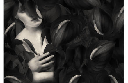 Surrealistic Black & White Digital Paintings
