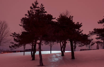 Sublime Pictures of Winter Poetry in Quebec