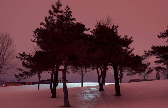 Sublime Pictures of Winter Poetry in Quebec