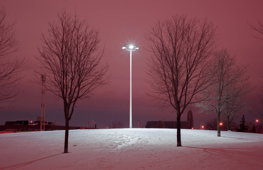Sublime Pictures of Winter Poetry in Quebec
