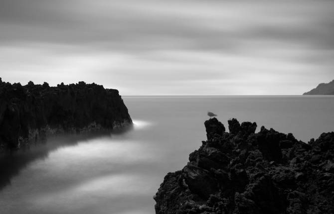Raw and Untouched Beauty of the Azores Archipelago