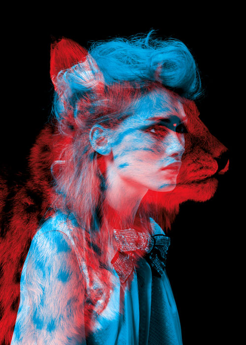 fubiz-helmo_lynx